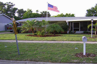 Inspiration for a small transitional front yard landscaping in Tampa.