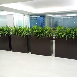 Fiberglass Planters - Home Decor