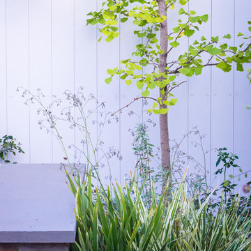 Traditional cottage in Santa Monica