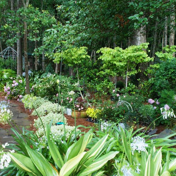 Woodland Garden