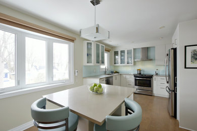 Kitchen - contemporary kitchen idea in Ottawa