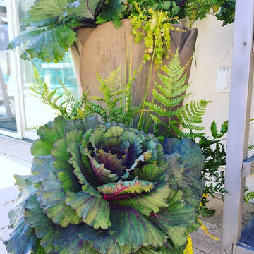 Fall Container Garden Design