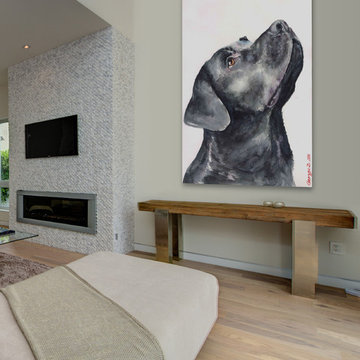 Black Labrador