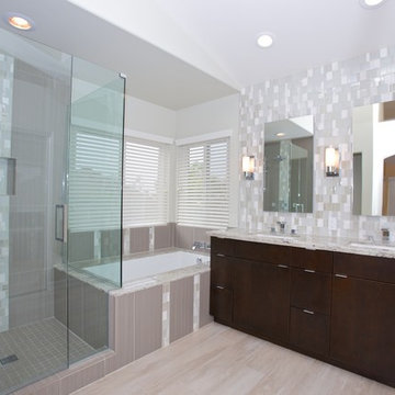 Rancho Bernardo Modern Grey Bathroom Full Design and Renovation