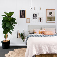 Scandinavian Decor