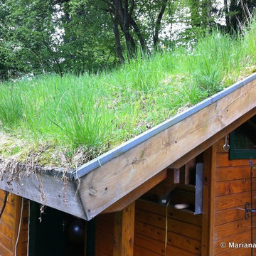 Wohldorf-Ohlstedt green roof near Hamburg, Germany