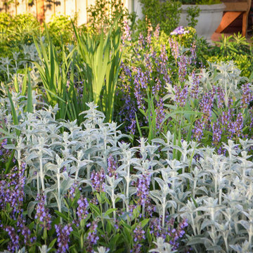 Urban Food Forest