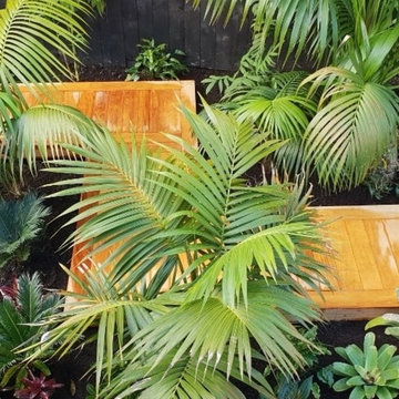 Entrican St Remuera