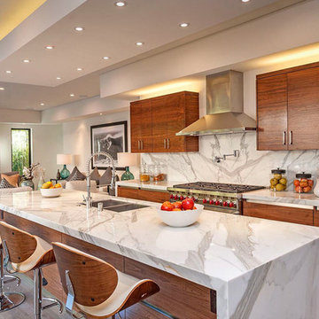 Contemporary Kitchen