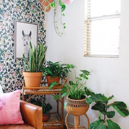 Customer Submitted Favorites - Home Decor