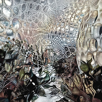 AMOEBA FUSION