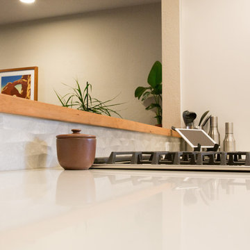 Mid Century Modern Kitchen