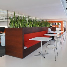 office