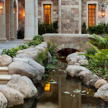 koi pond