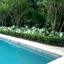 Pool Landscaping