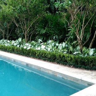 Mittelgroßer Klassischer Pool hinter dem Haus in rechteckiger Form mit Betonplatten in Miami