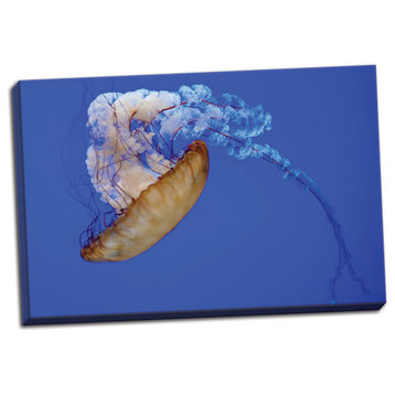 Fine Art Photograph, Jellyfish VIII, Hand-Stretched Canvas