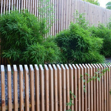 Landscape Ideas