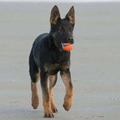 Foto von Jane Hoyt