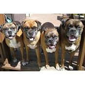 Brenda Golec's photo