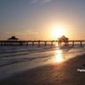 Kathryn Benner's photo
