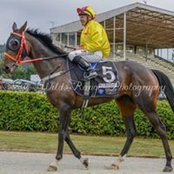 Nikki Blatch's photo