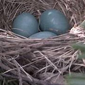 Pamela Hiscock's photo