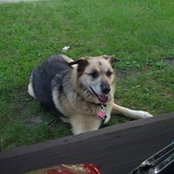 Nickole Schmidt's photo