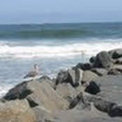 Ginny Proctor's photo