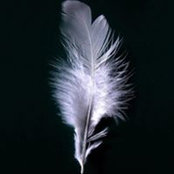 Peter Porada's photo
