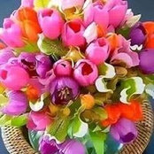 Neaam Alsaraj's photo