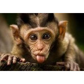 Lorie Kremin's photo
