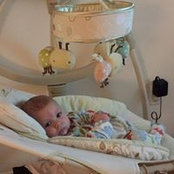 Nicholas Hybl's photo
