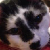 Donna Fleetwood's photo
