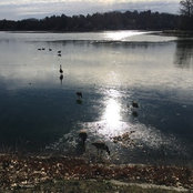 Ross K's photo