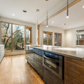 Contemporary Kitchen Midtown Atlanta