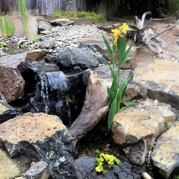 Noel and Nancy's Pond Makeover - Wetland Filter and Falls on West end of Pond