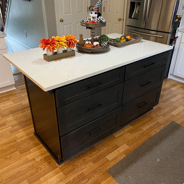 Modern Kitchen Remodel Done in a Two-Tone Color