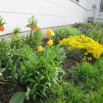 Beth's Gardens 2017
