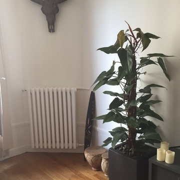 Aménagement d'un appartement Parisien