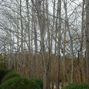 In-Progress_Sagaponack, NY
