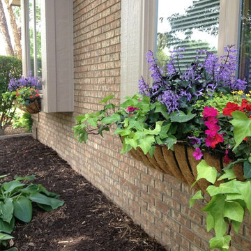 Summer Containers