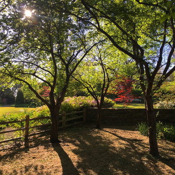 Fort Worth Estate Garden