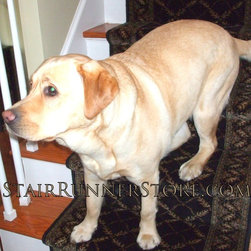 Pets on Stairs - Pet Supplies