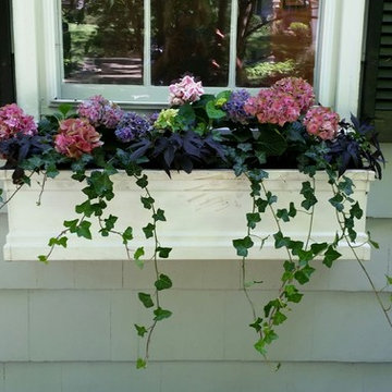 Shady Summer Windowbox