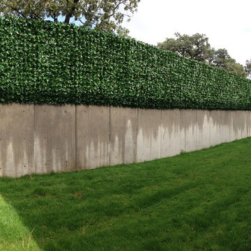 Ranka Lasting Greenery