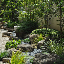 Garden & Landscaping
