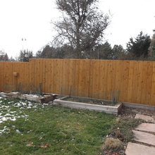 Backyard fence