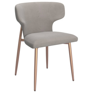 Set of 2 Contemporay Velvet and Metal Side Chair, Gray