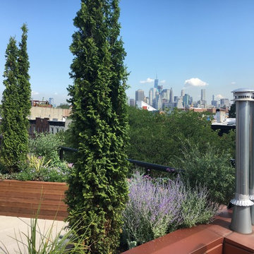Rooftop garden 5